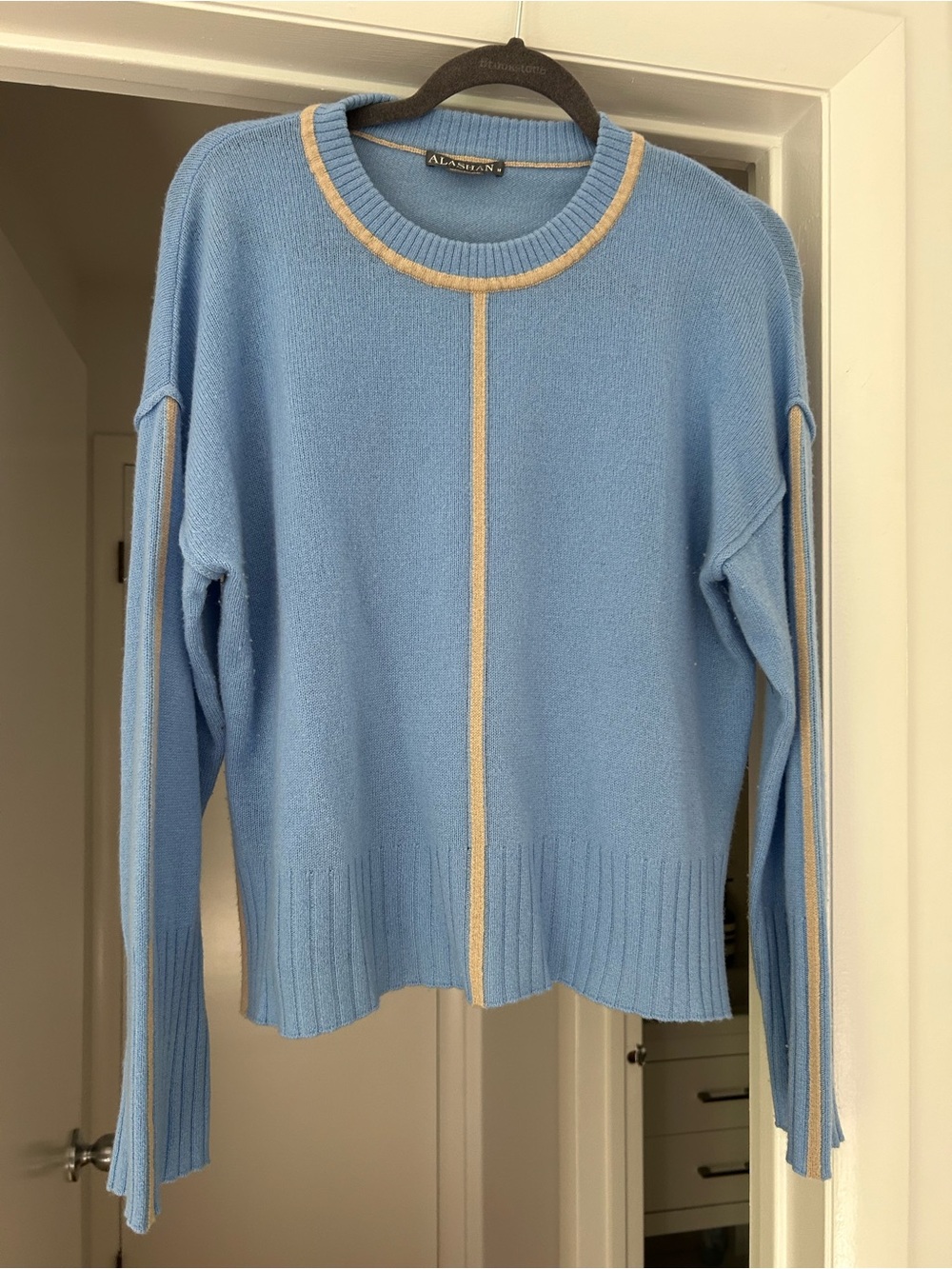 ALASHAN Cashmere Light Blue Crewneck Sweater with Cream Trim